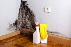 Best Air Quality Testing for Mold Spores in USA